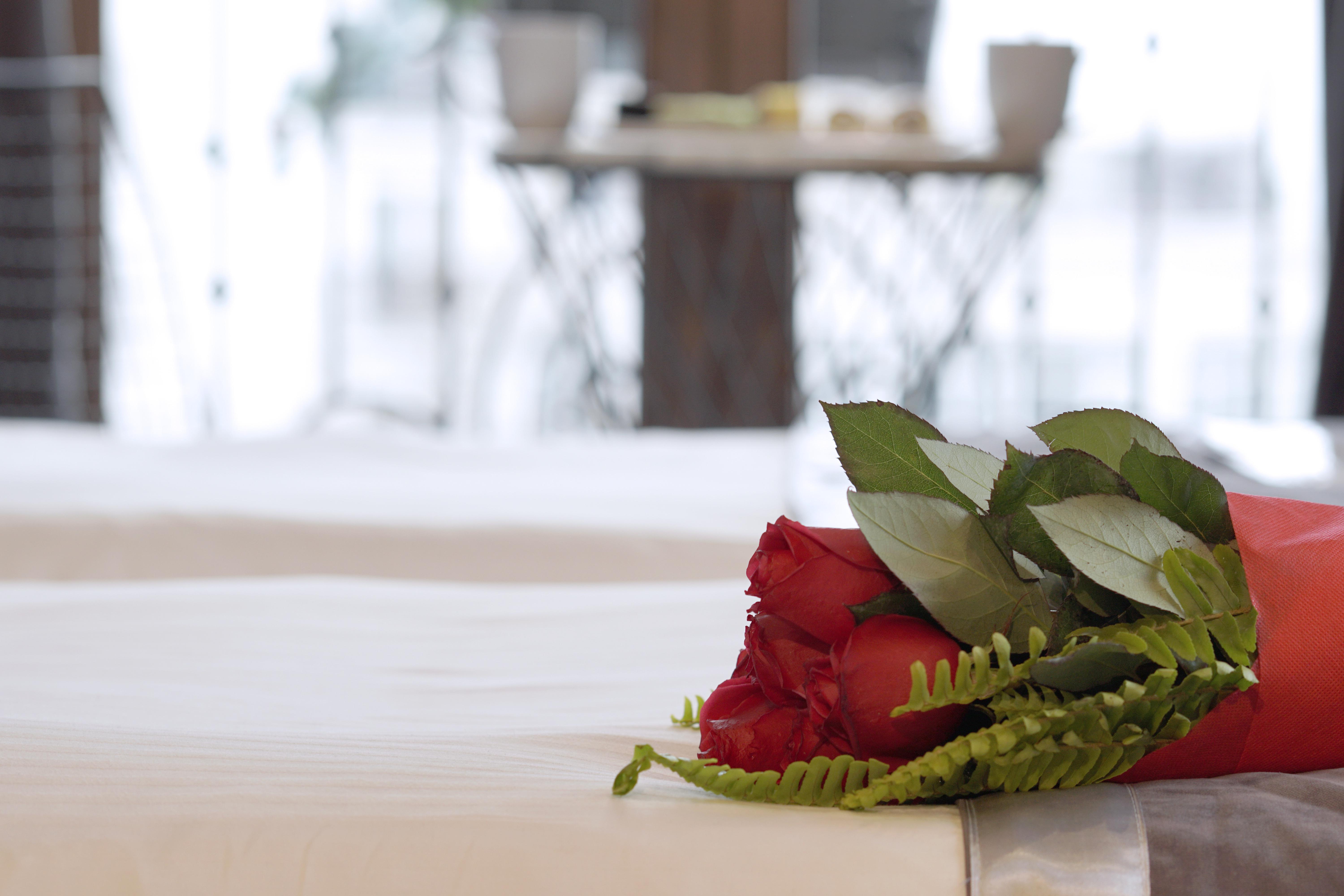 Parmada Hotel Istanbul Eksteriør bilde